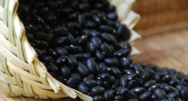 Jak pěstovat a používat černý hrách?